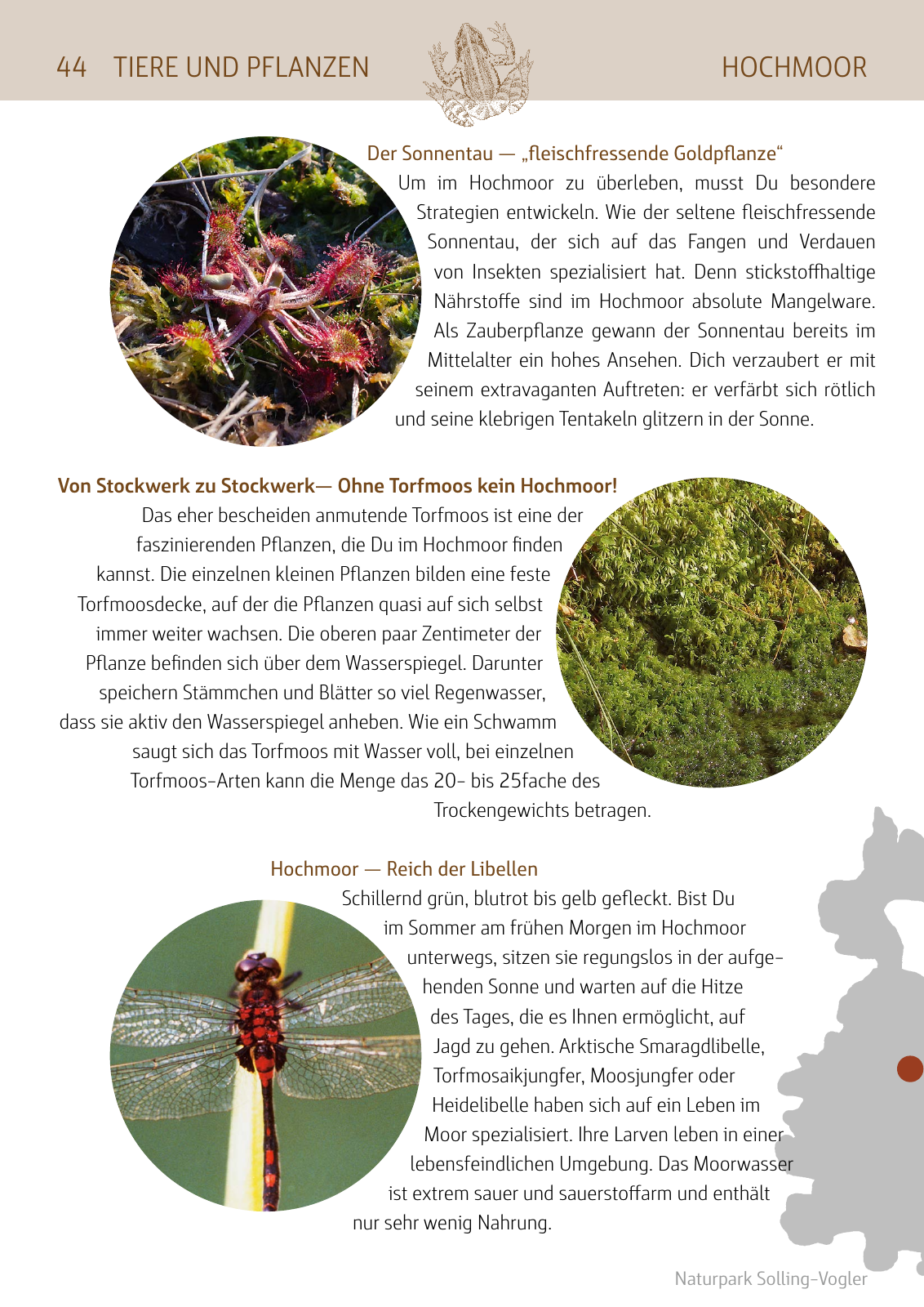 Vorschau Naturparkbuch Seite 44
