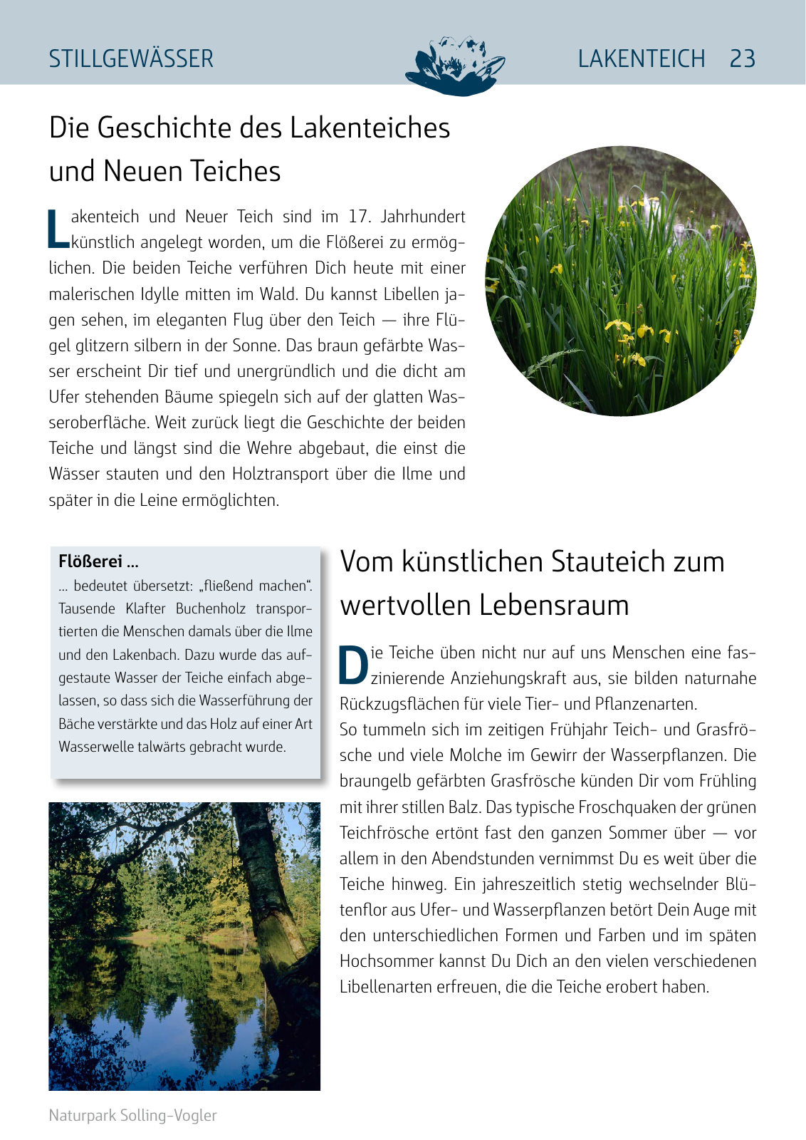 Vorschau Naturparkbuch Seite 23