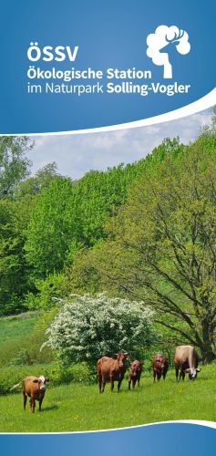 Flyer Ökologische Station Solling-Vogler.
