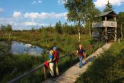 Der Moorsteg im Hochmoor Mecklenbruch.