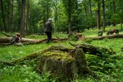 Hutewald Fotoexkursion, Bild 1 von Tore Straubhaar