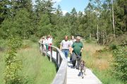 Unterwegs auf dem Moorsteg im Hochmoor Mecklenbruch.