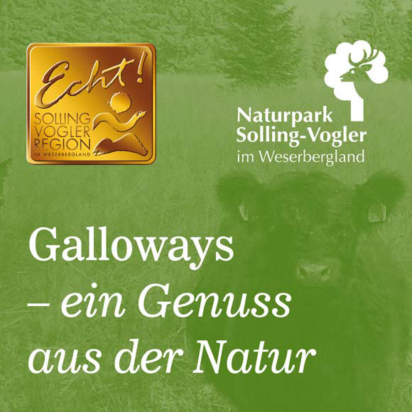 Galloway-Rinder