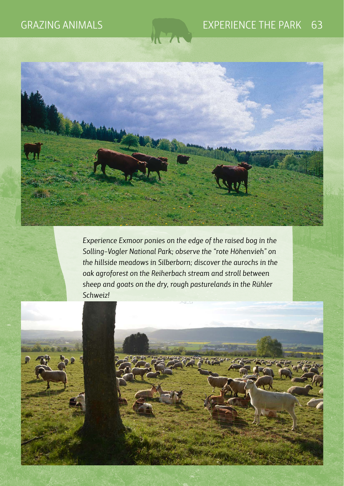 Vorschau National Park Book Seite 63