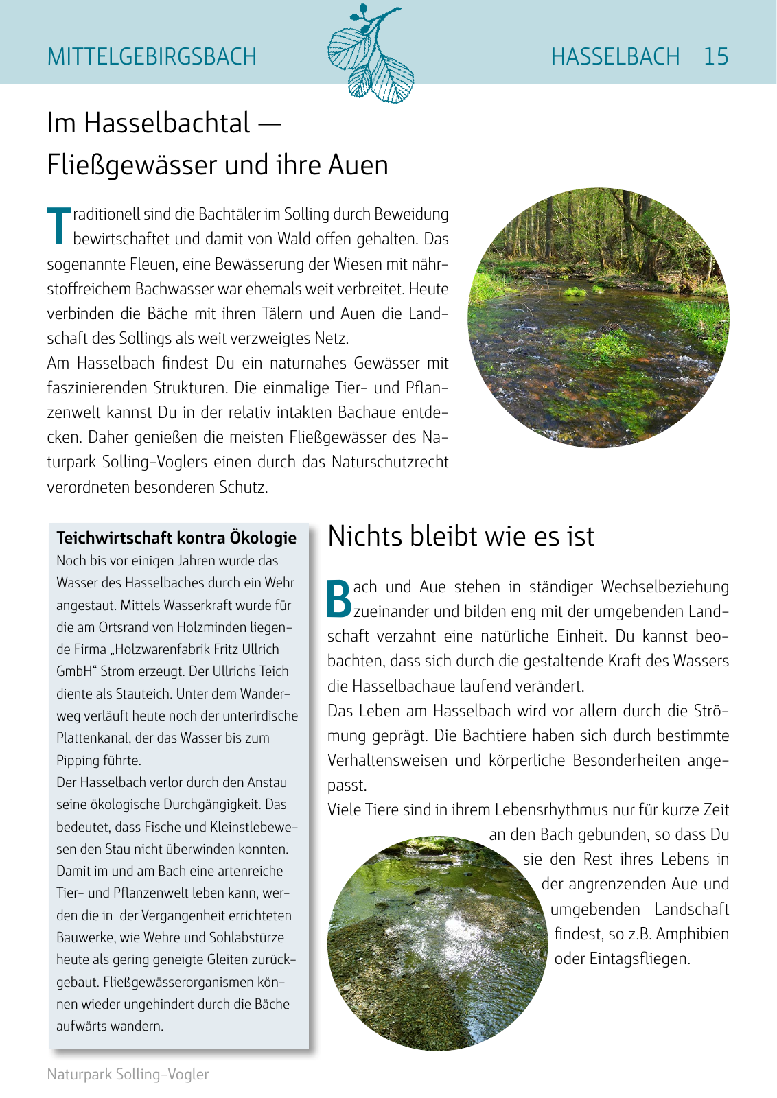 Vorschau Naturparkbuch Seite 15