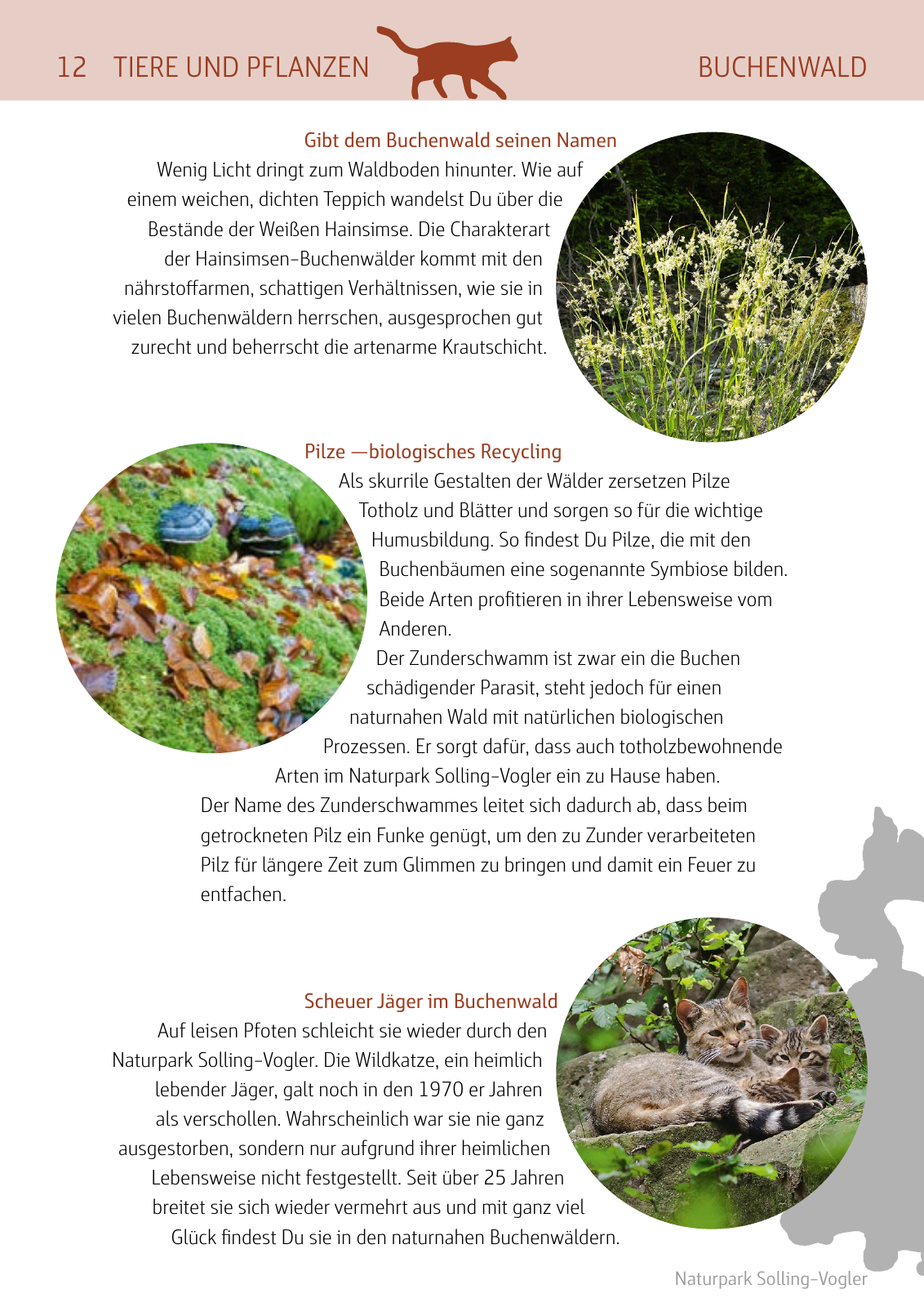 Vorschau Naturparkbuch Seite 12