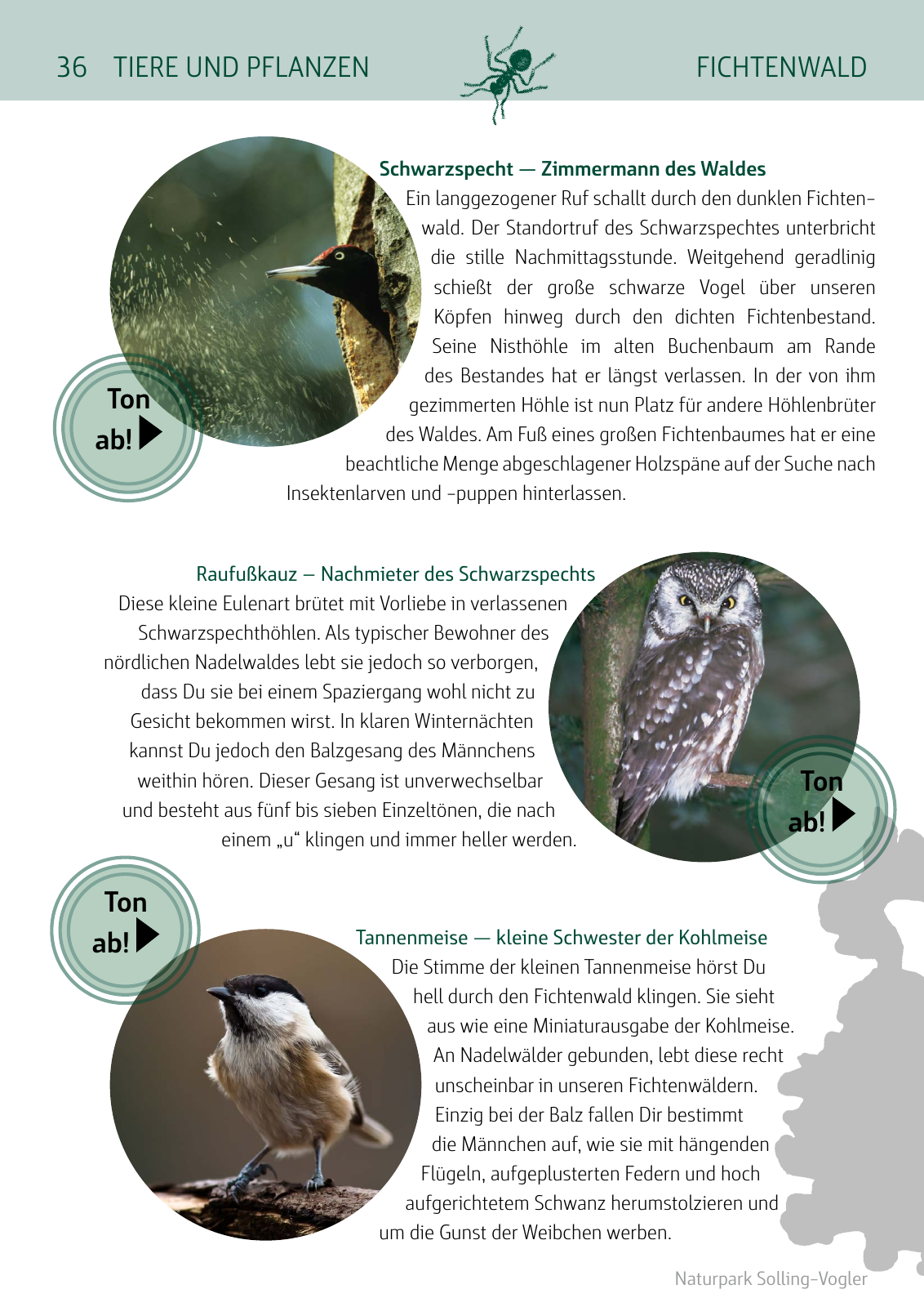 Vorschau Naturparkbuch Seite 36