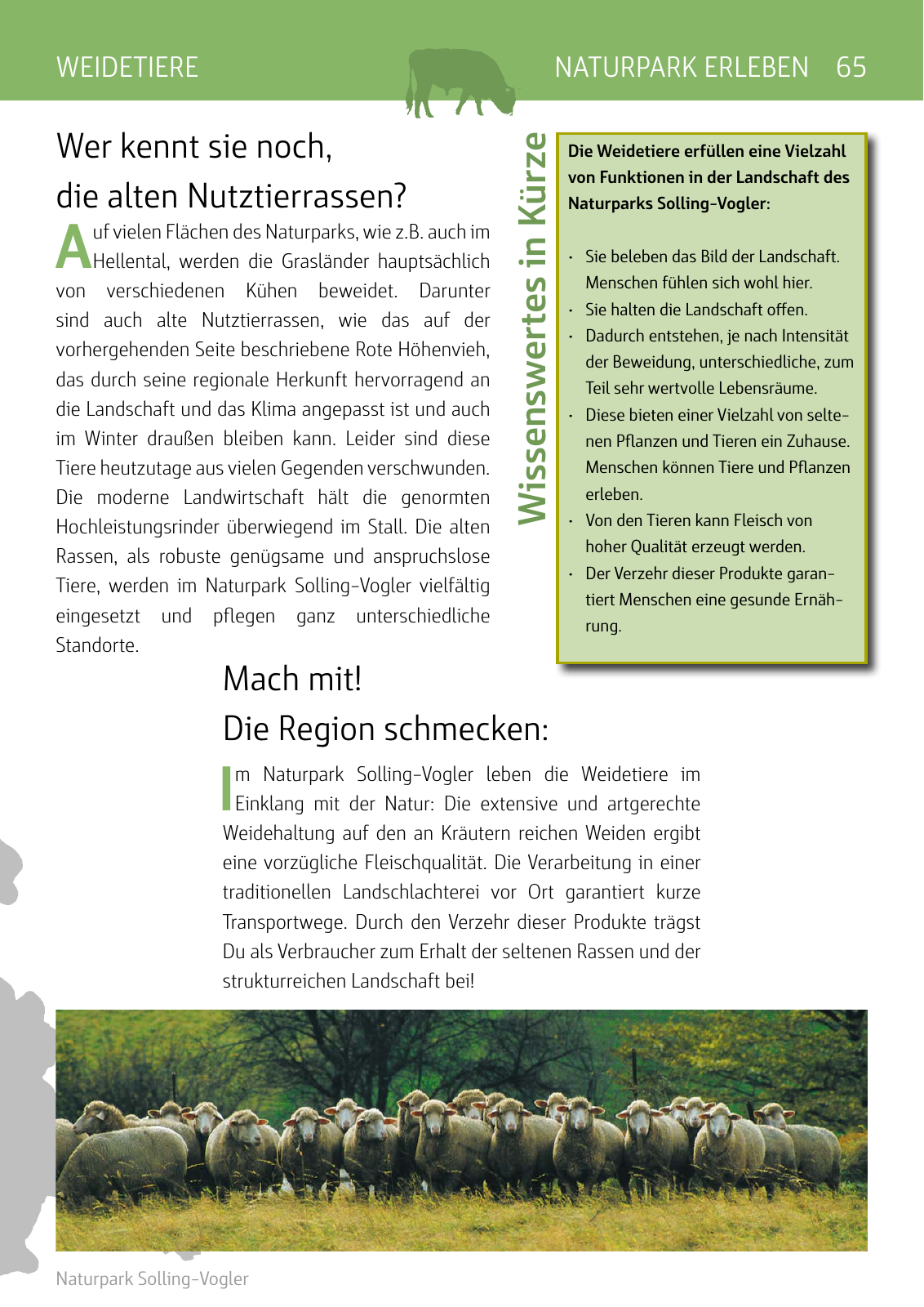 Vorschau Naturparkbuch Seite 65