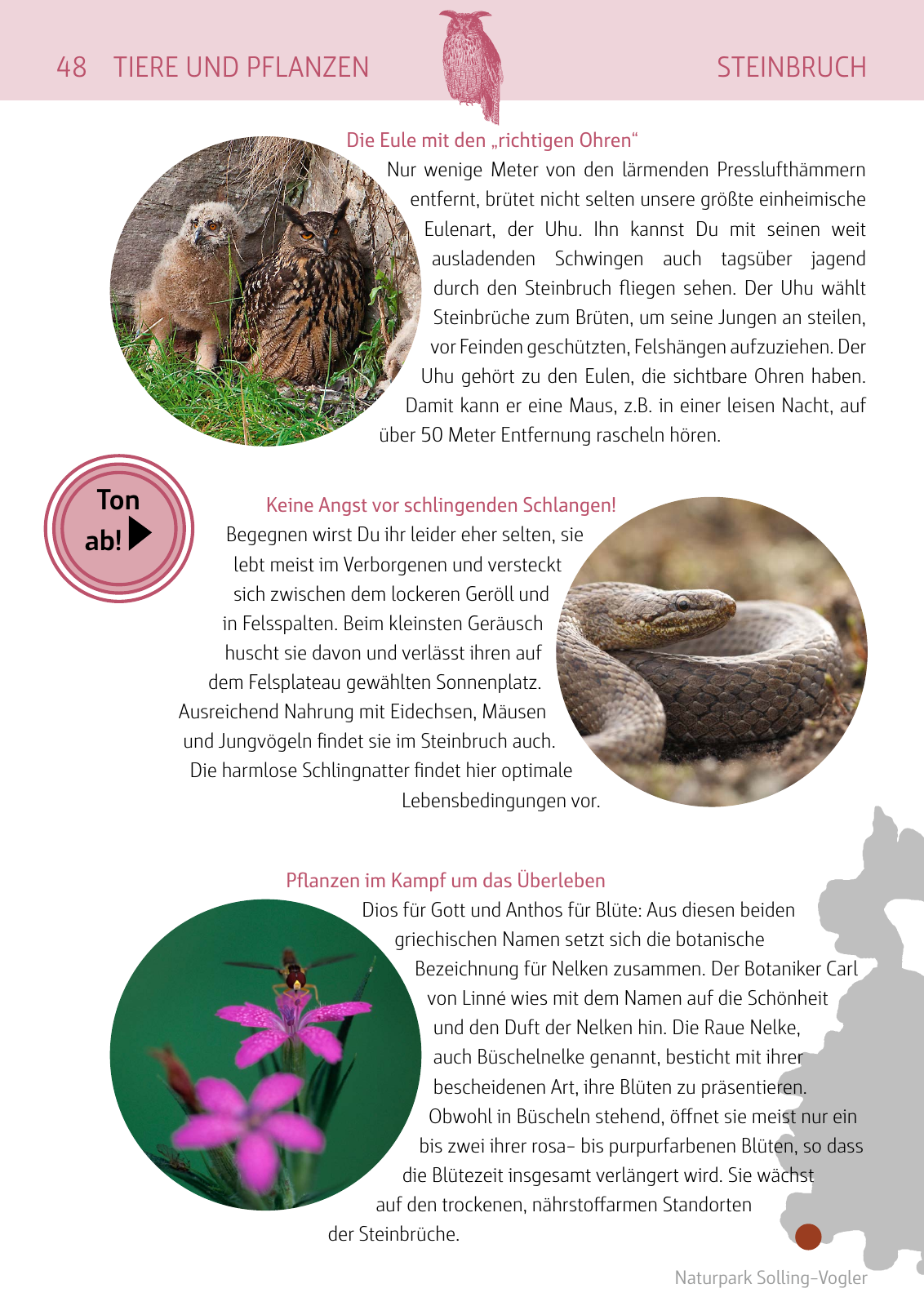 Vorschau Naturparkbuch Seite 48