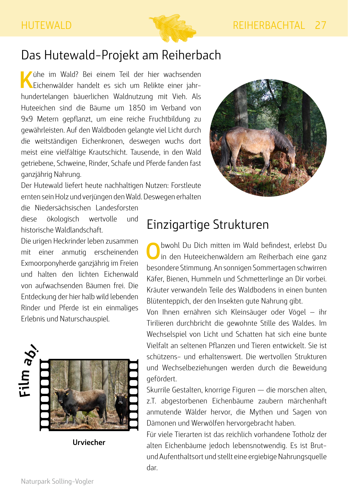 Vorschau Naturparkbuch Seite 27