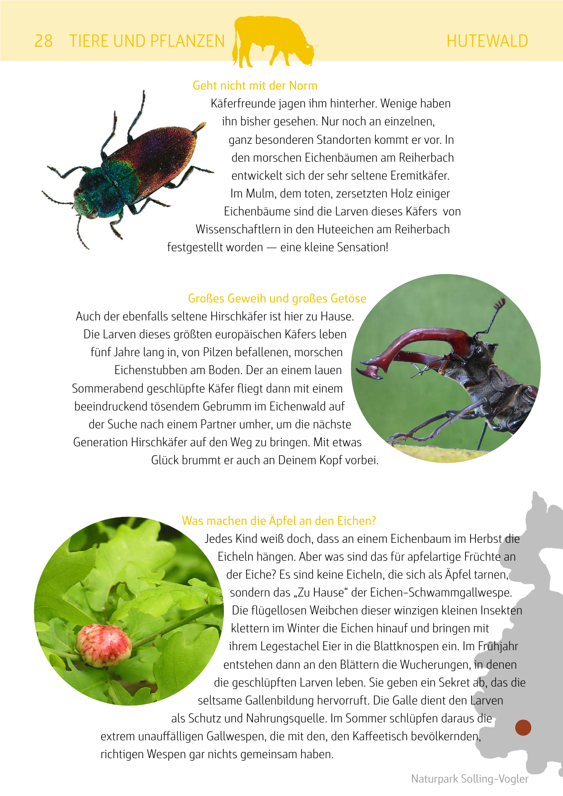 Vorschau Naturparkbuch Seite 28