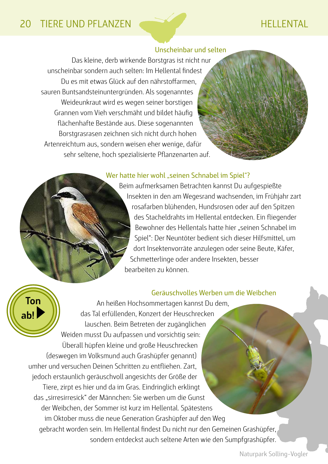 Vorschau Naturparkbuch Seite 20