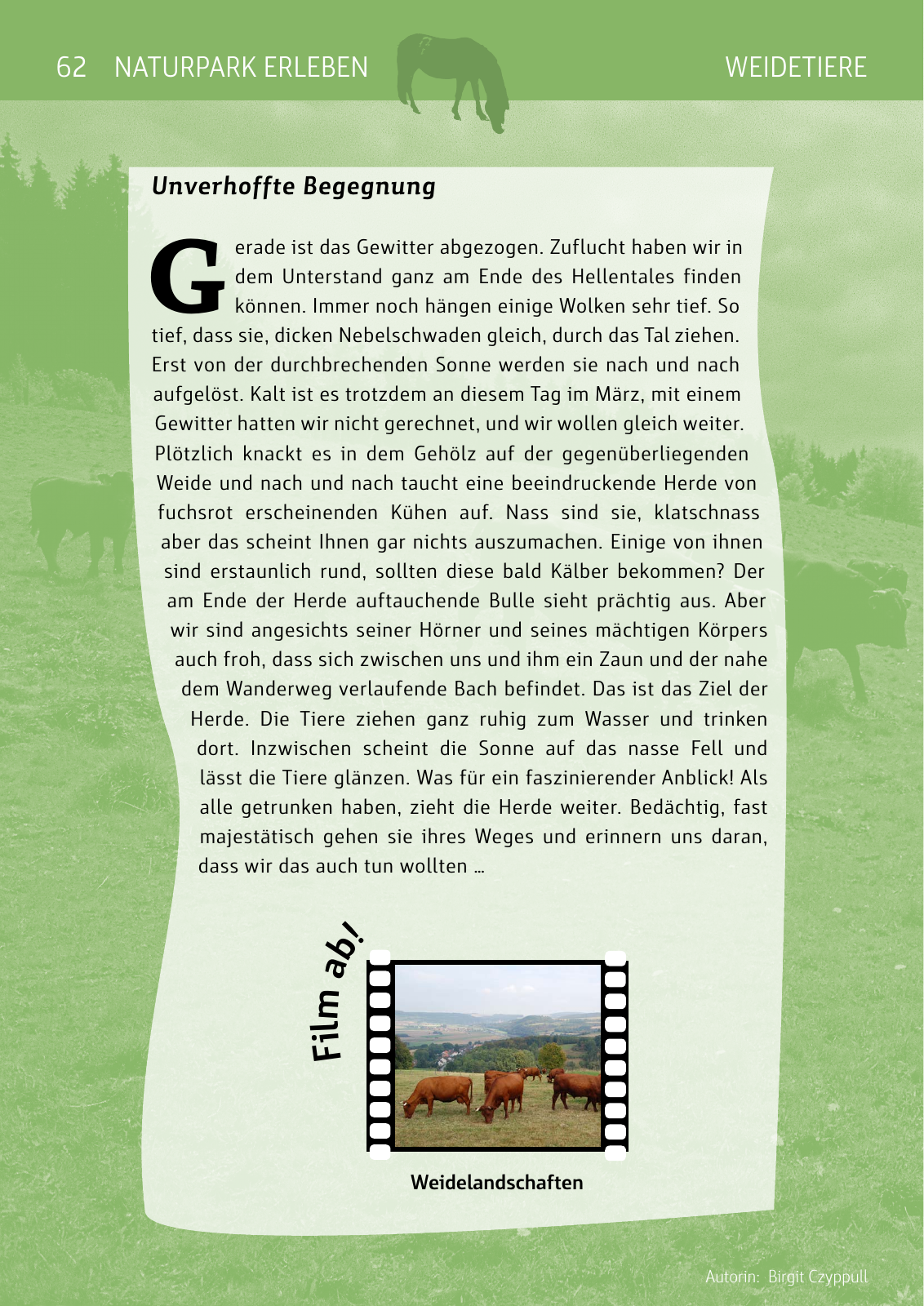 Vorschau Naturparkbuch Seite 62