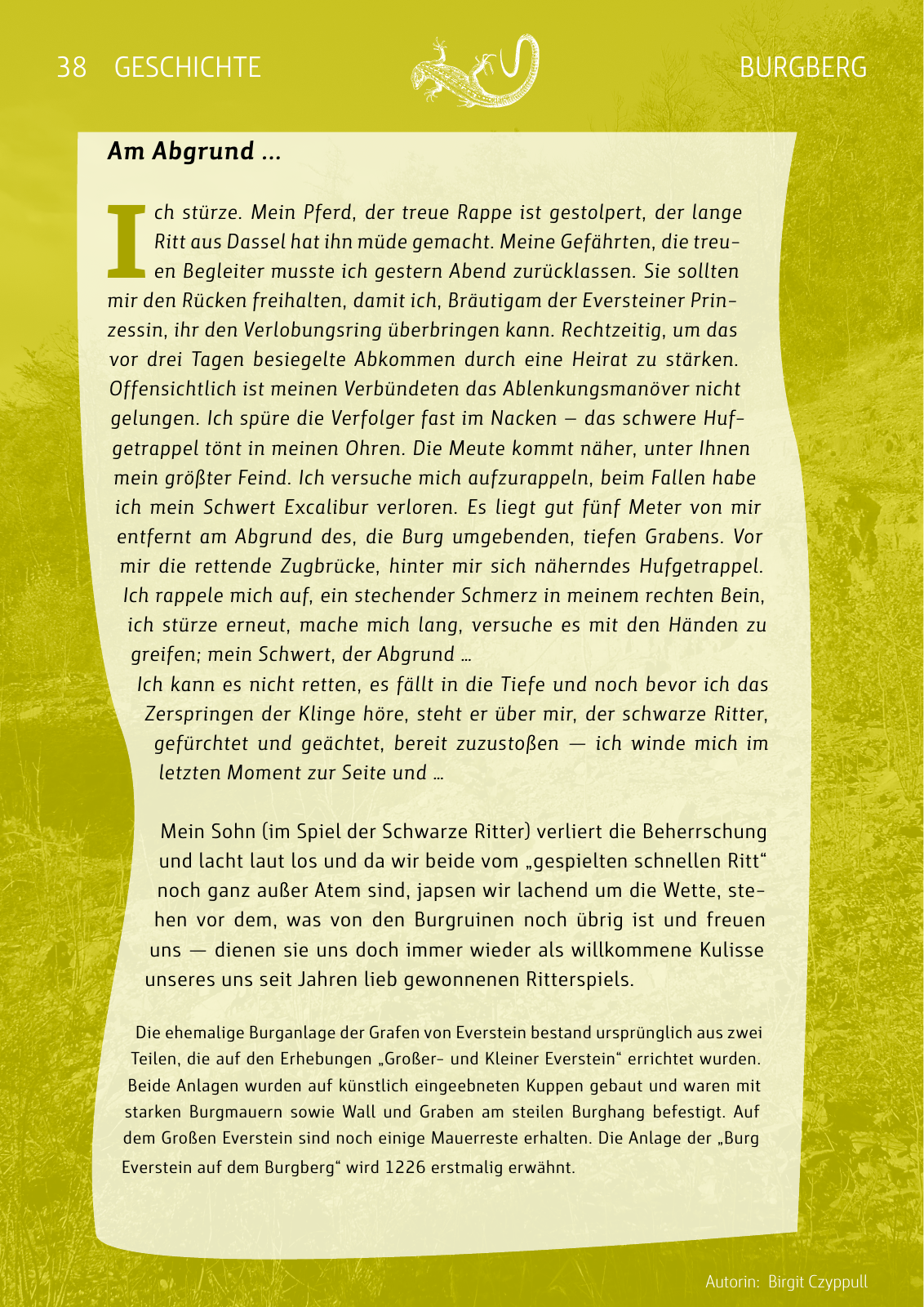 Vorschau Naturparkbuch Seite 38