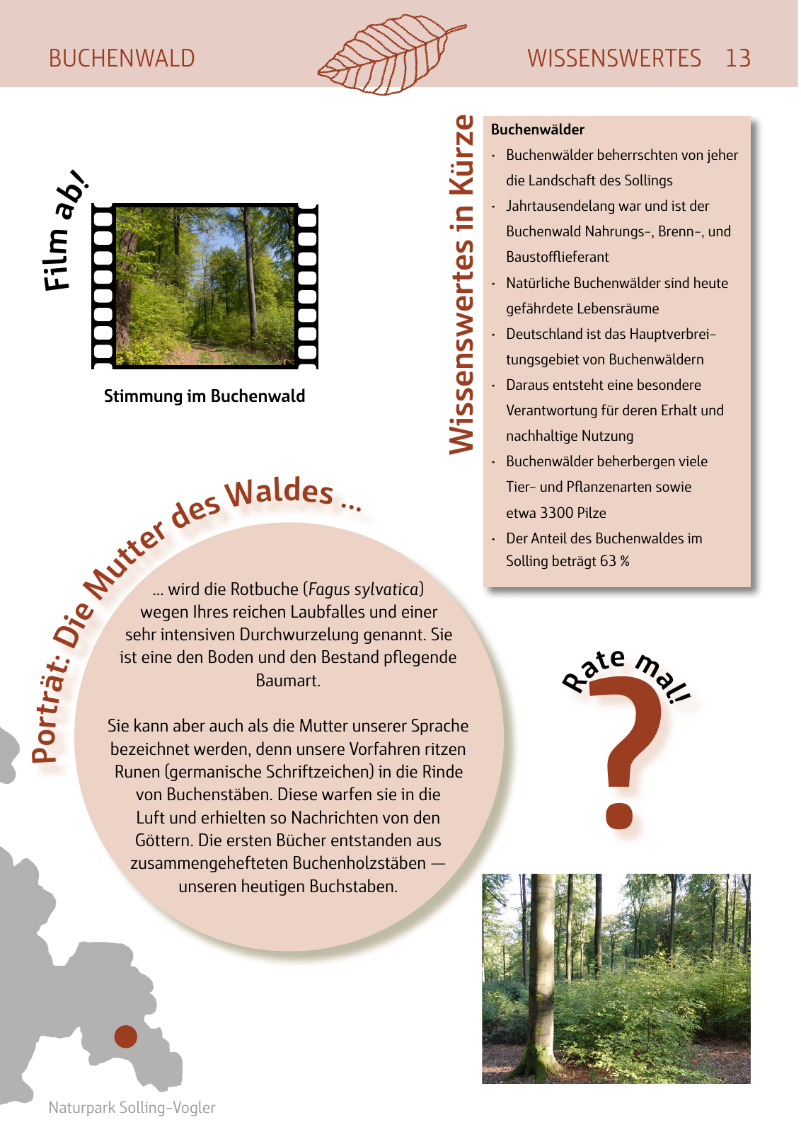 Vorschau Naturparkbuch Seite 13