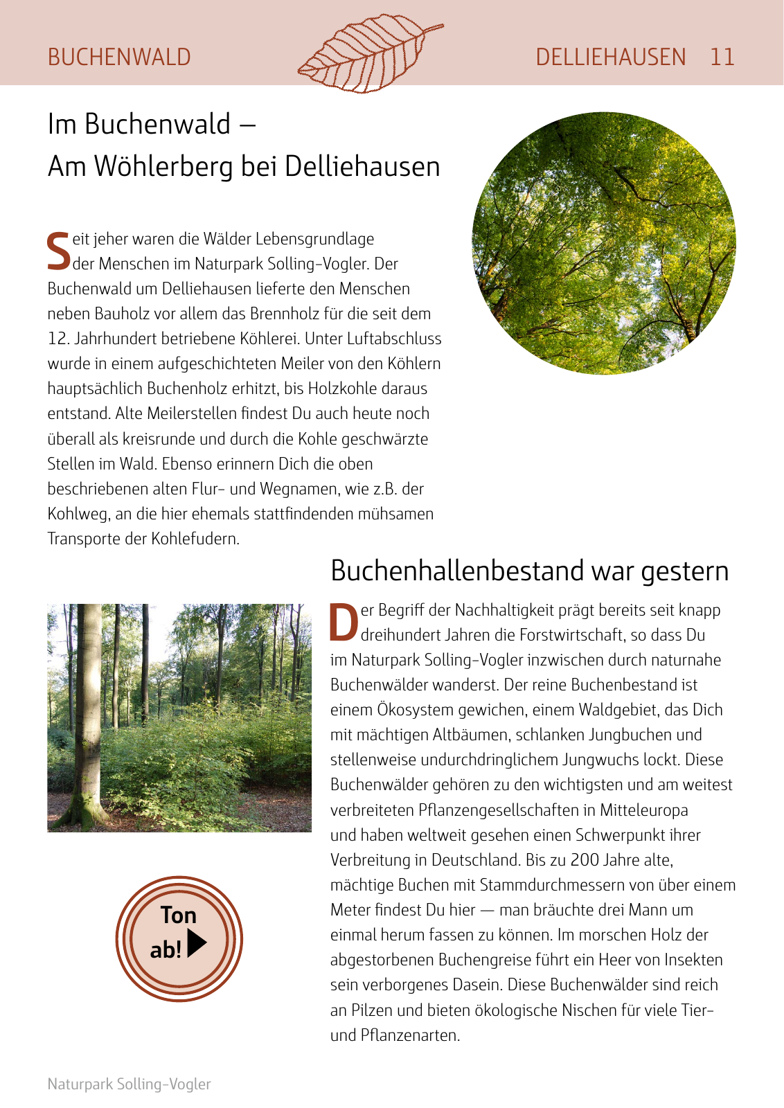 Vorschau Naturparkbuch Seite 11