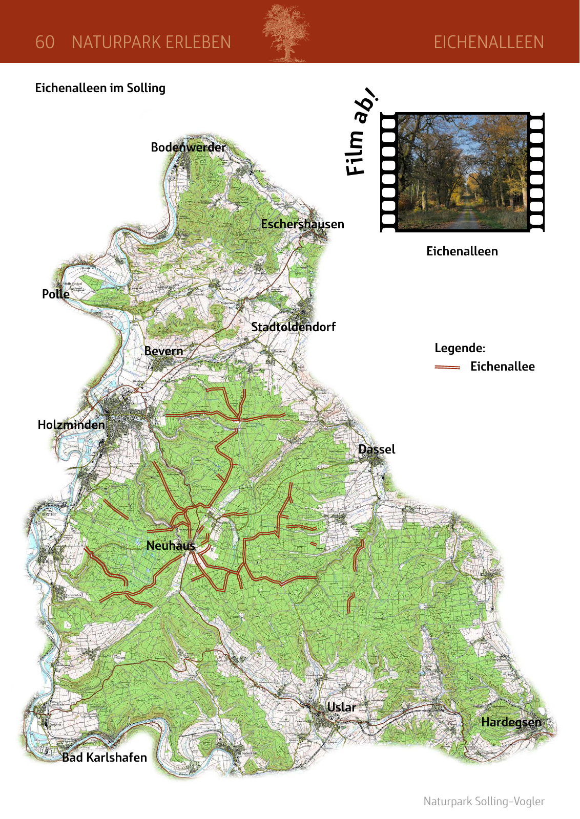 Vorschau Naturparkbuch Seite 60